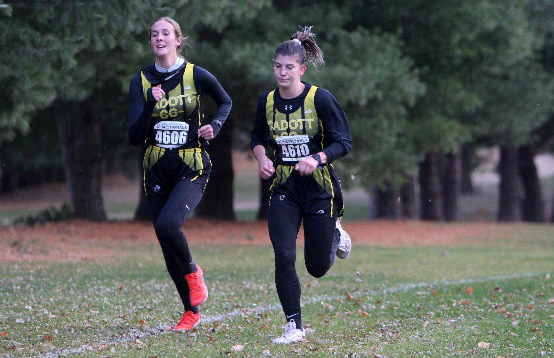 Division 3 Cross Country Sub-Sectional at Colfax 10-19-20
